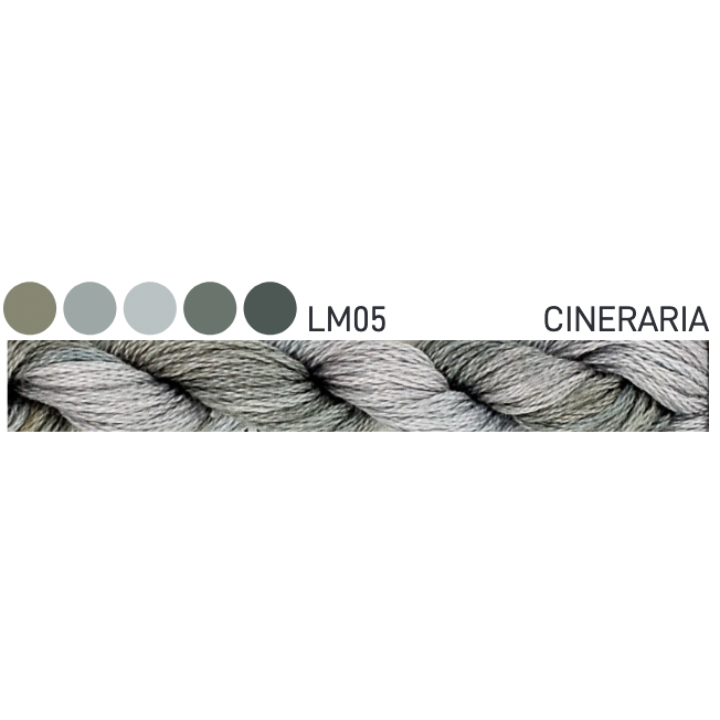 LM05 ~ Cineraria – Hobby House Needleworks