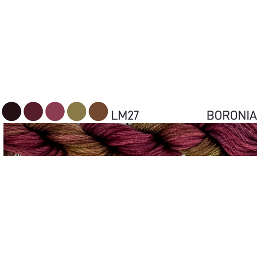 LM27 ~ Boronia