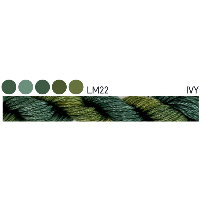 LM22 ~ Ivy
