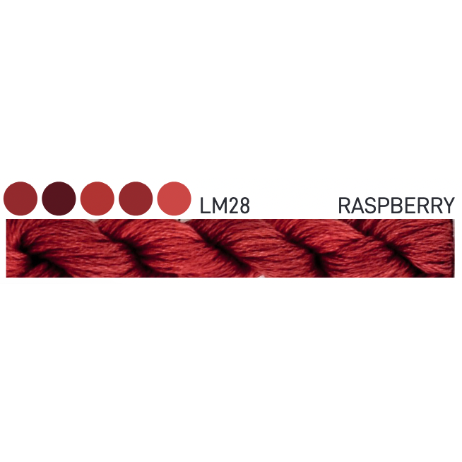 LM28 ~ Raspberry