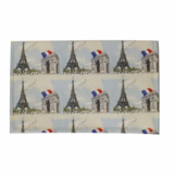 Sajou Needle Case ~ Paris