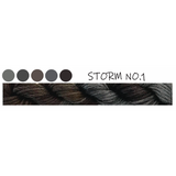 PB21 ~ Storm