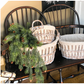 HHWW ~ 35" Pinyon Pine Hanging Bush