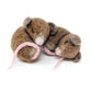 The Crafty Kit Company ~ Sleepy Mice Needle Felting Kit