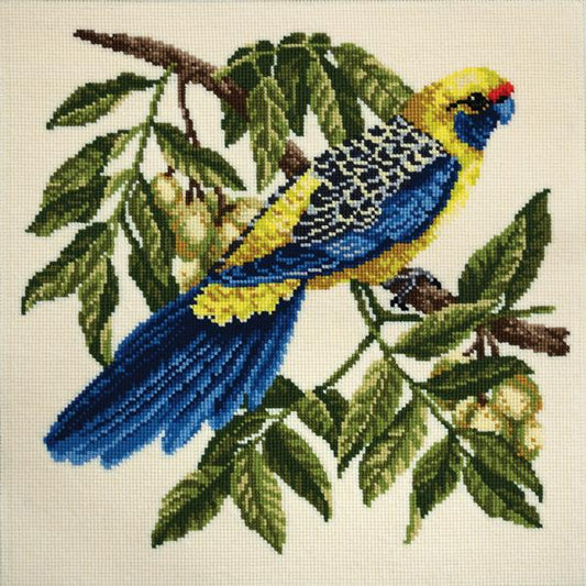 Elizabeth Bradley ~ Tropical Birds - Rosella Needlepoint Tapestry Kit