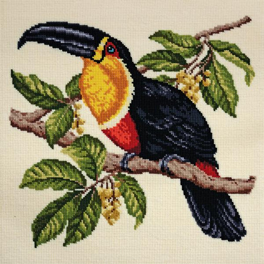 Elizabeth Bradley ~ Tropical Birds - Toucan Needlepoint Tapestry Kit