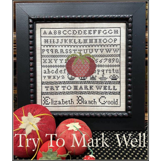 The Scarlett House ~ Try To Mark Well Sampler Pattern