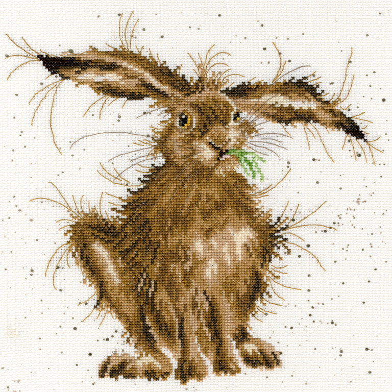 Bothy Threads ~ Hare Brained Cross Stitch Kit