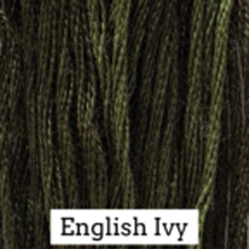 English Ivy CCT-179