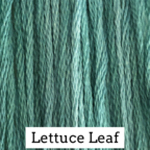 Lettuce Leaf