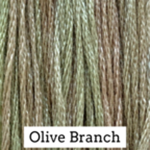 Olive Branch